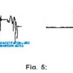 Fig. 5: