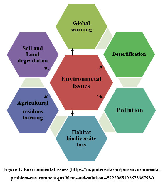 environmental health problem solving