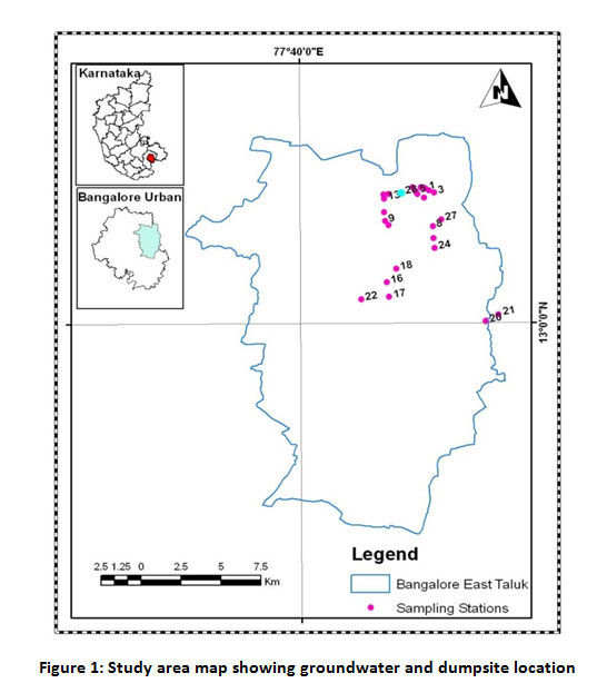 Assessment of Leachate Contaminated Groundwater Quality near Mandur ...