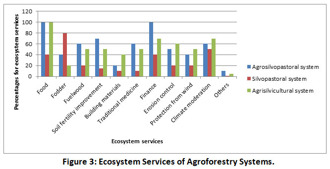 agroforestry-as-an-agro-ecological-pathway-to-phase-out-chemical