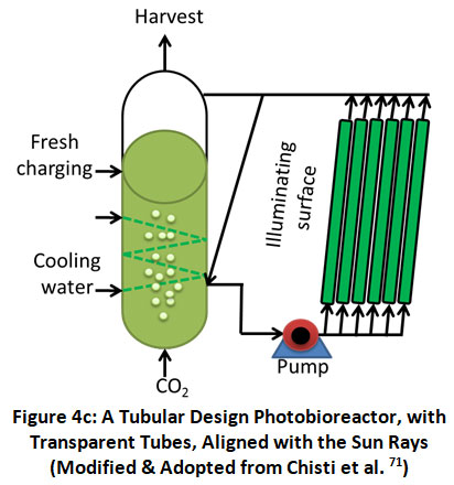 Biofuel Formation From Microalgae: A Renewable Energy Source For Eco ...