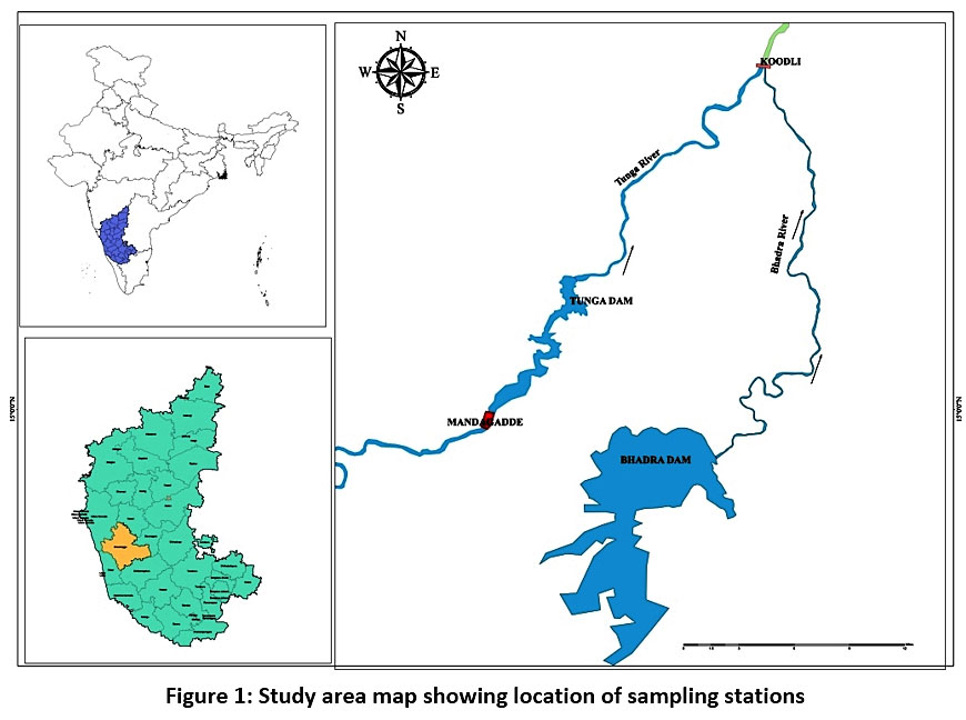 Surface Water Quality in the Forest Catchment â€“ A Case Study of Tunga ...